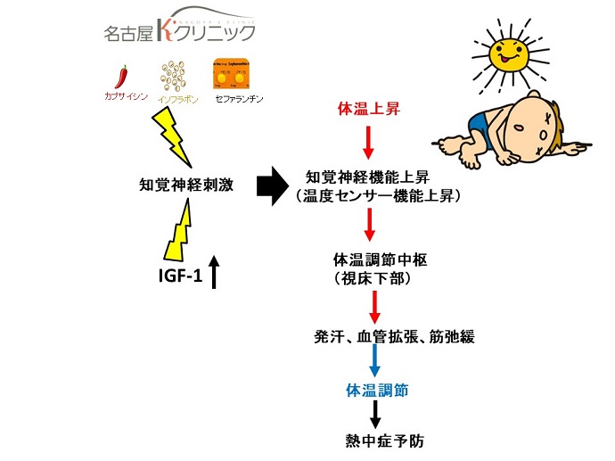 円形脱毛症　病院